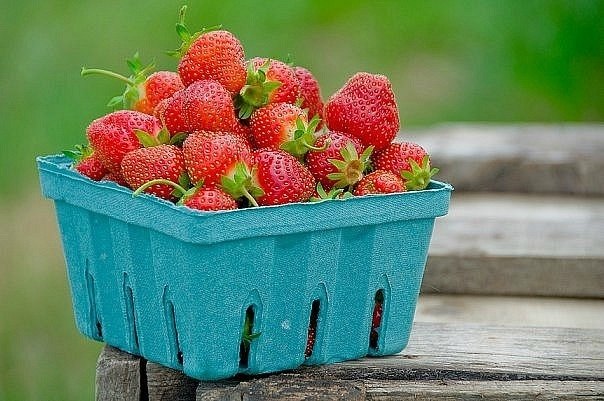 Иришка Емельянова | Калининград