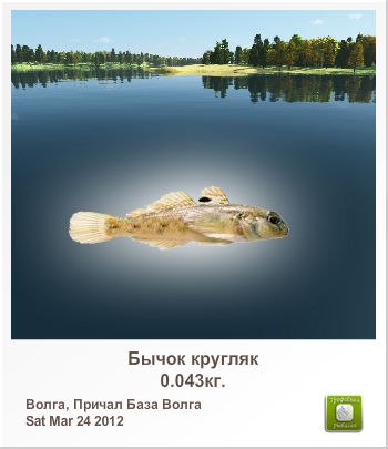 Сергей Горобец kamchadalchik | Петропавловск-Камчатский