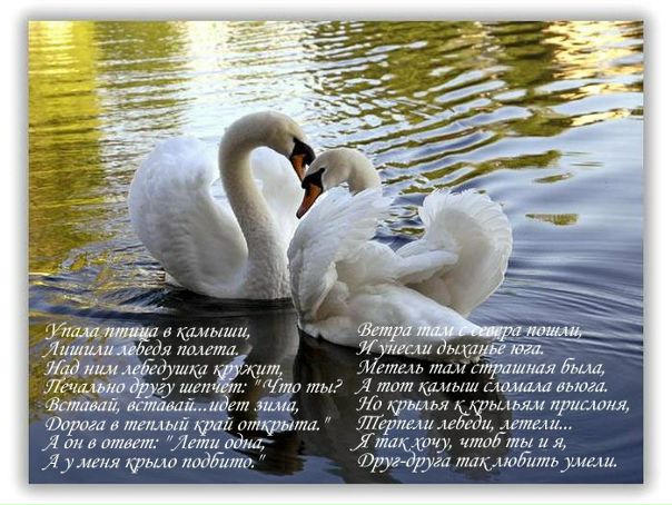 №89, Анна Горюн, 32 года №89, Анна Горюн, 32 года