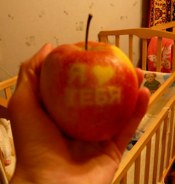 №12, Софья Прима, 38 лет, Кингисепп №12, Софья Прима, 38 лет, Кингисепп