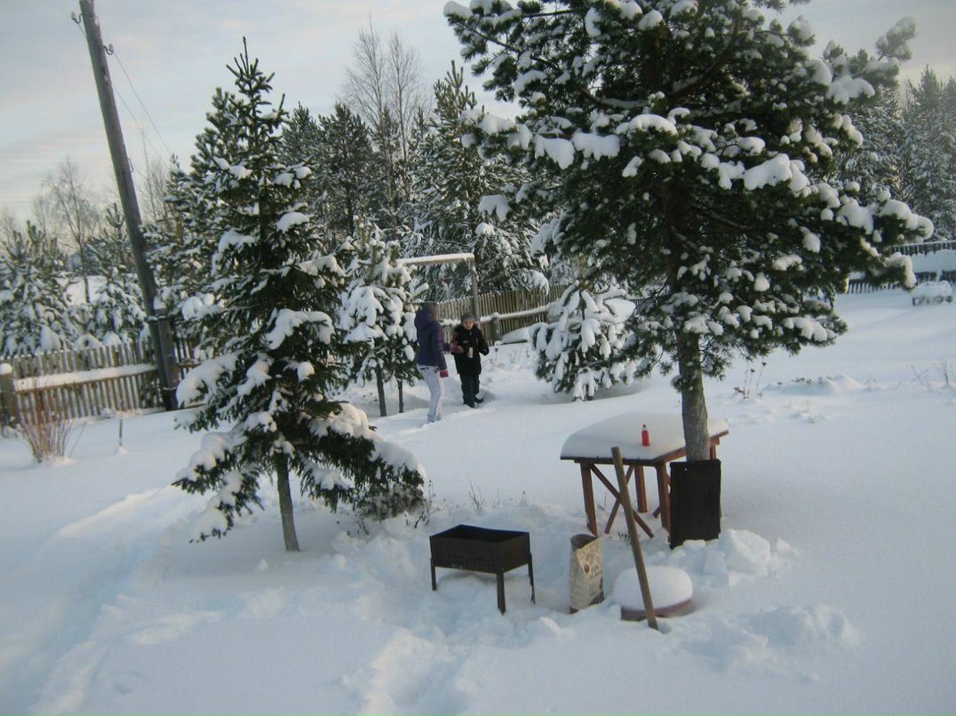 Александр Цветков | 