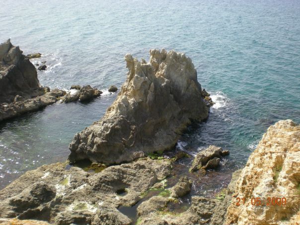№47, Sido Chiko, 37 лет, Alger №47, Sido Chiko, 37 лет, Alger
