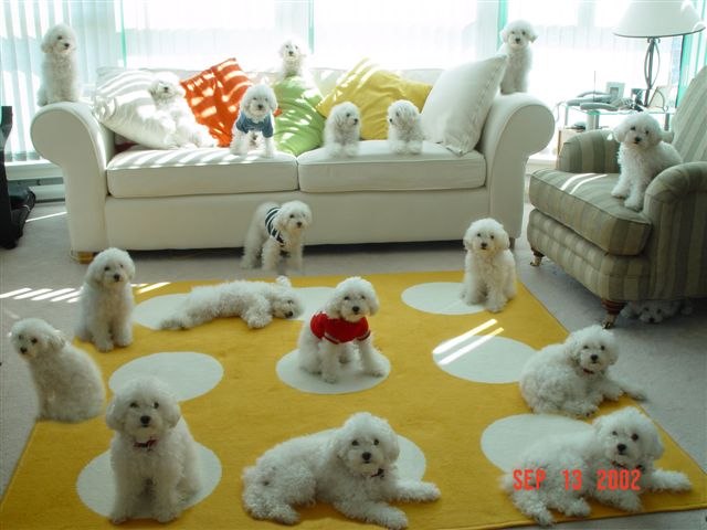 Дарья Зяблова | Донецк