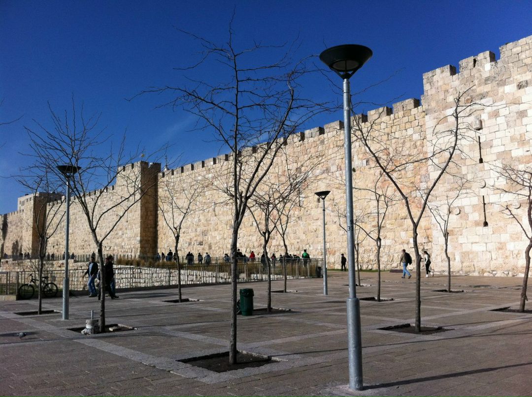 Анна Фактор | Ришон ЛеЦион