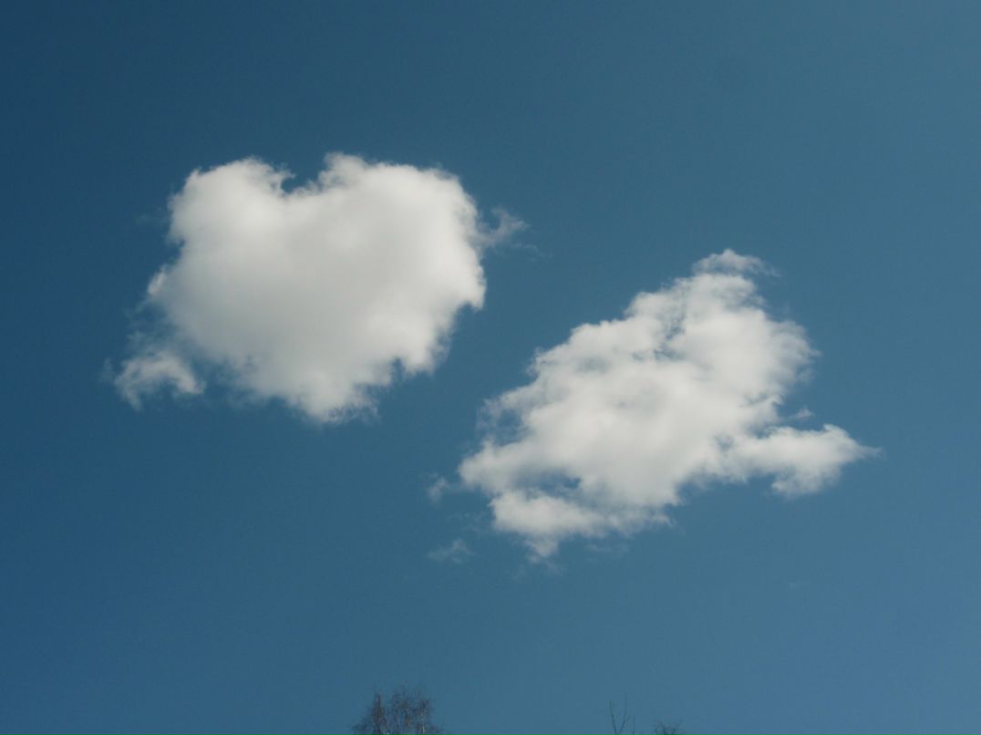 Алексей Татьяна-Ракитины | Псков