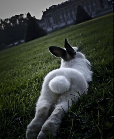 Юля Кочекова | Комсомольск-на-Амуре