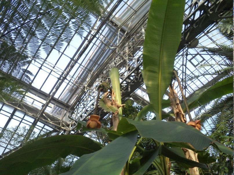 Марина Лазуткина | Санкт-Петербург