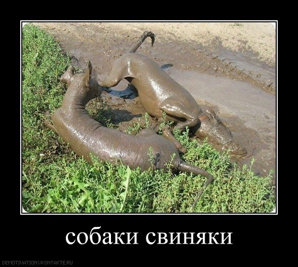 Юля Капелюшок | Киев