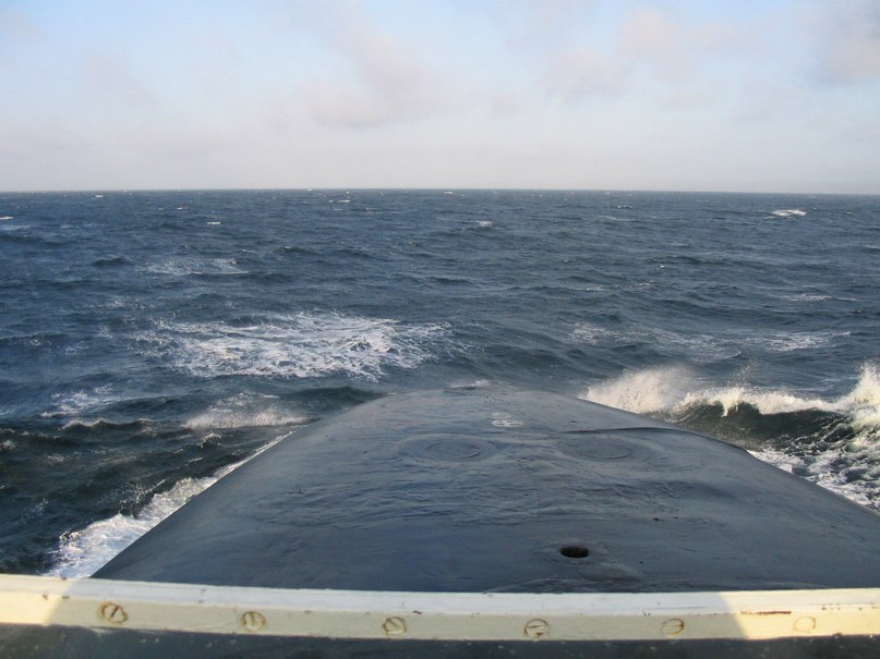 Дмитрий Огорелин | Буй