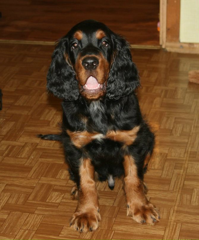 Екатерина Шалыгина | Санкт-Петербург