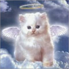 Dan Iil Я ПРОСТО МОЛЧУ | Олонец