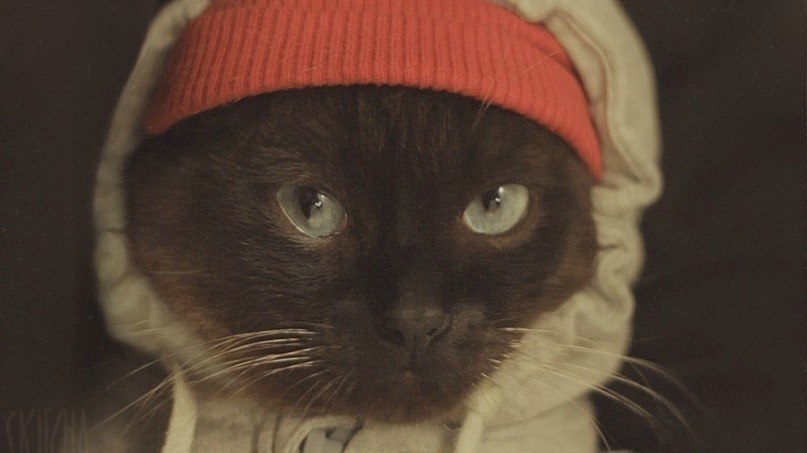 Даша Φедосеева | Киев