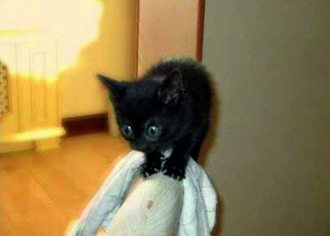 Константин Воробьев ВароБужеГ <(*o*)> | 