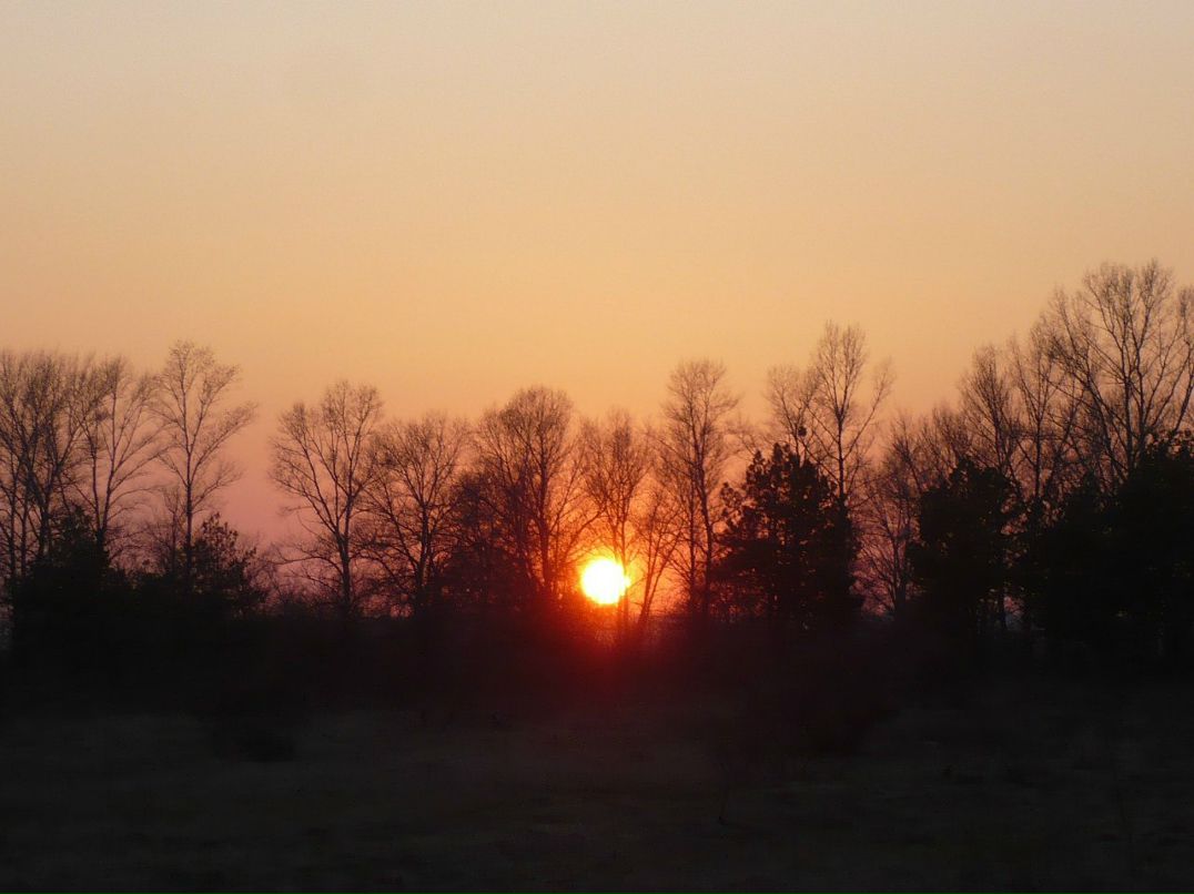 Евгений Танасов | Киев