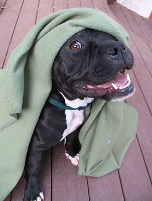 №49, Павел Blackchild, Санкт-Петербург №49, Павел Blackchild, Санкт-Петербург