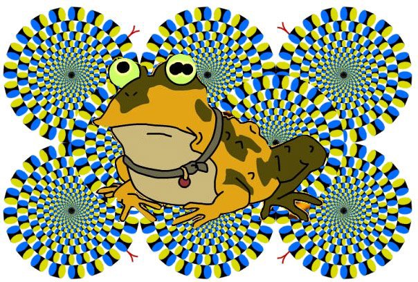 №52, Ринат Чет, Мелитополь №52, Ринат Чет, Мелитополь