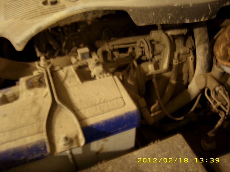 Наталья Кочнева | Санкт-Петербург