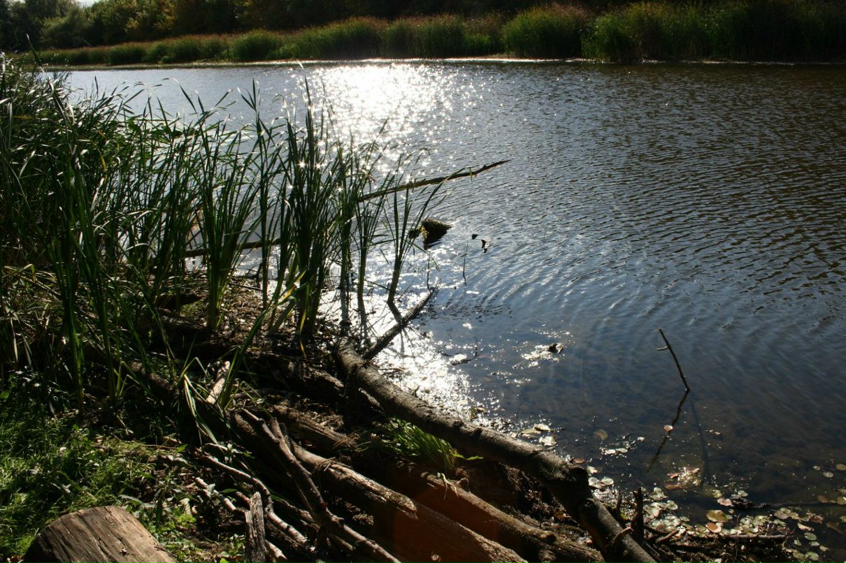 Маргарита Иванова | Москва