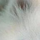 №75, Виталина Мач, Харьков №75, Виталина Мач, Харьков