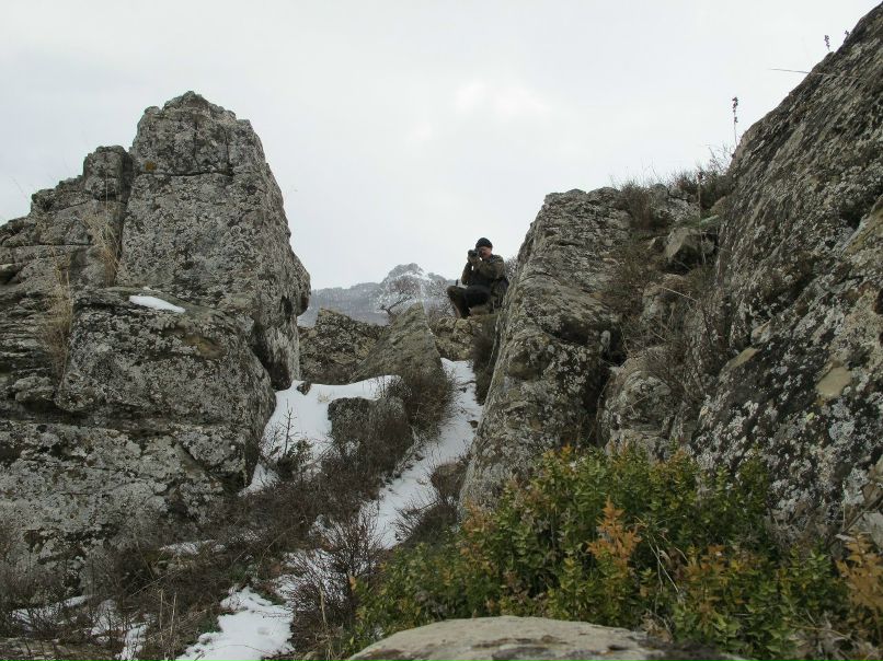 Игорь Баженов | 