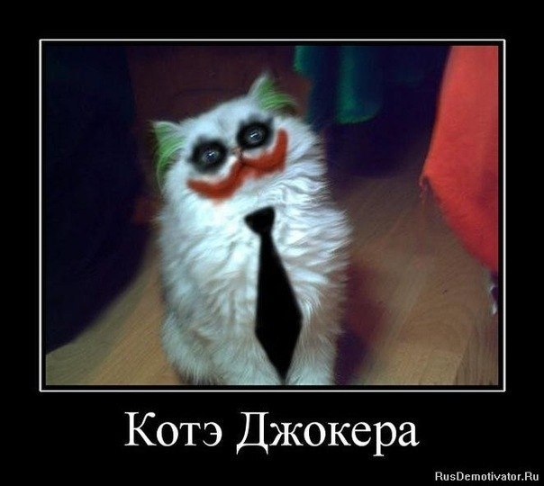 Александр Марченко | Краматорск