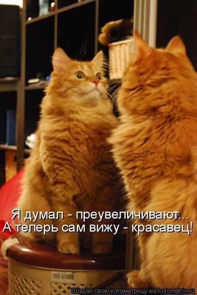 Роберт Кульмухаметов 