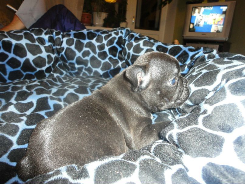 Александр Цап | Харьков