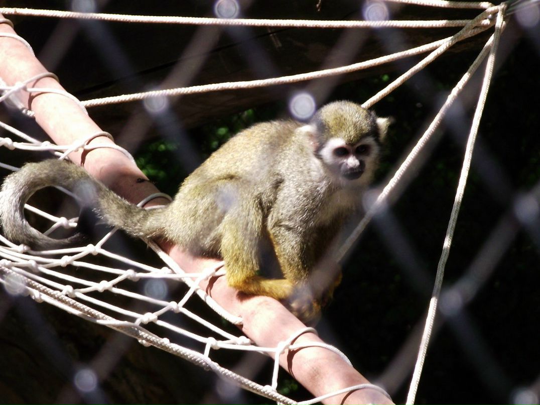 Галина Зайко | Новосибирск