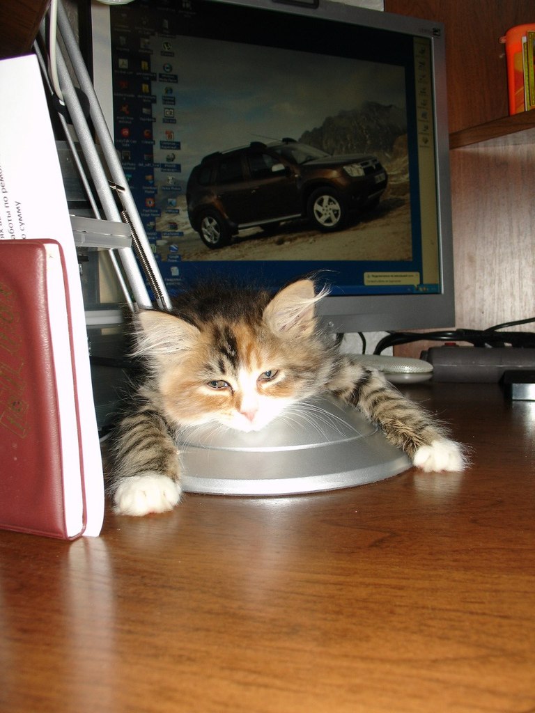 Тамара Мухортова | Вологда