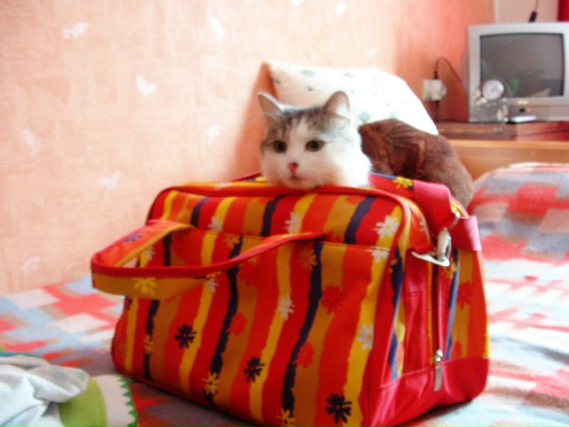 №3, Екатерина Иванова, Апатиты №3, Екатерина Иванова, Апатиты