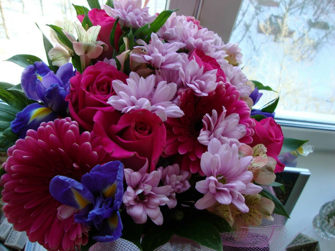 Елена Шиленкова | Санкт-Петербург