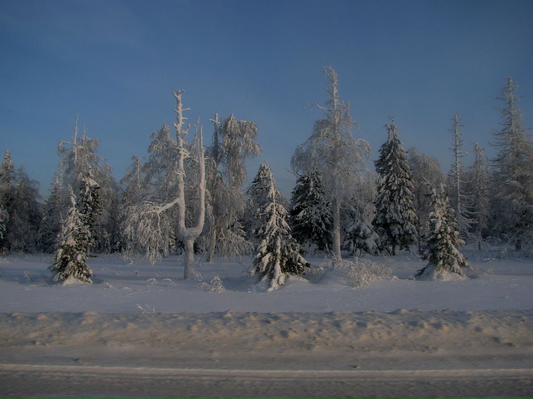 Ярослава Евдокимова | Санкт-Петербург