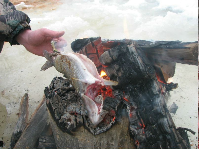 Андрей Дровнин | Березник
