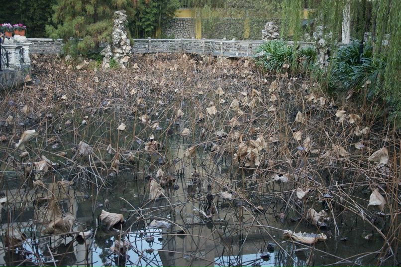 Елена Васильева | Москва