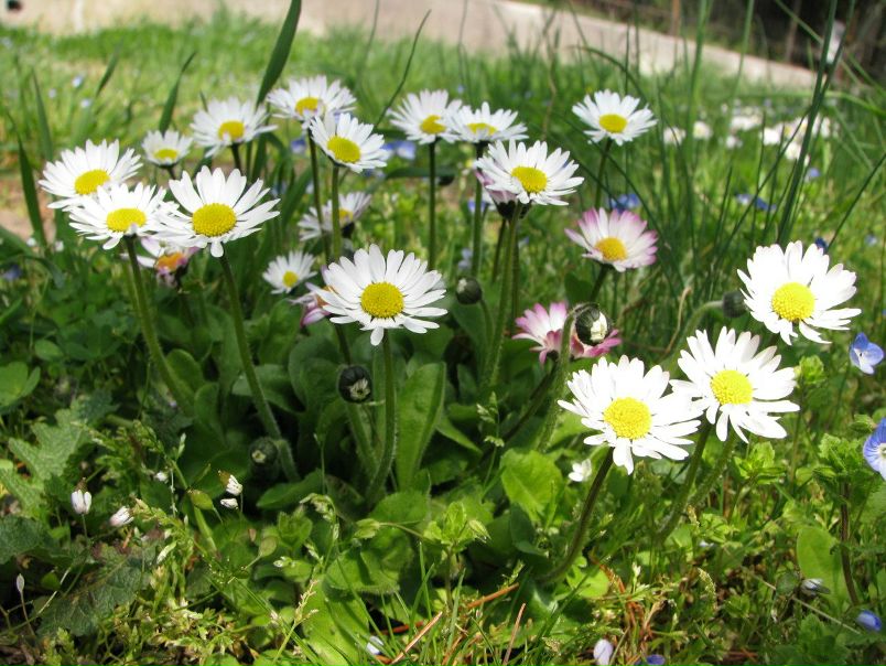 №67, Ольга Миусова, Херсон №67, Ольга Миусова, Херсон