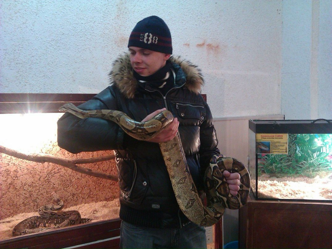 Владимир Скотников | Орёл