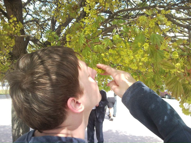 Александр Кудрин | 