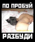 Сергей Вавилов