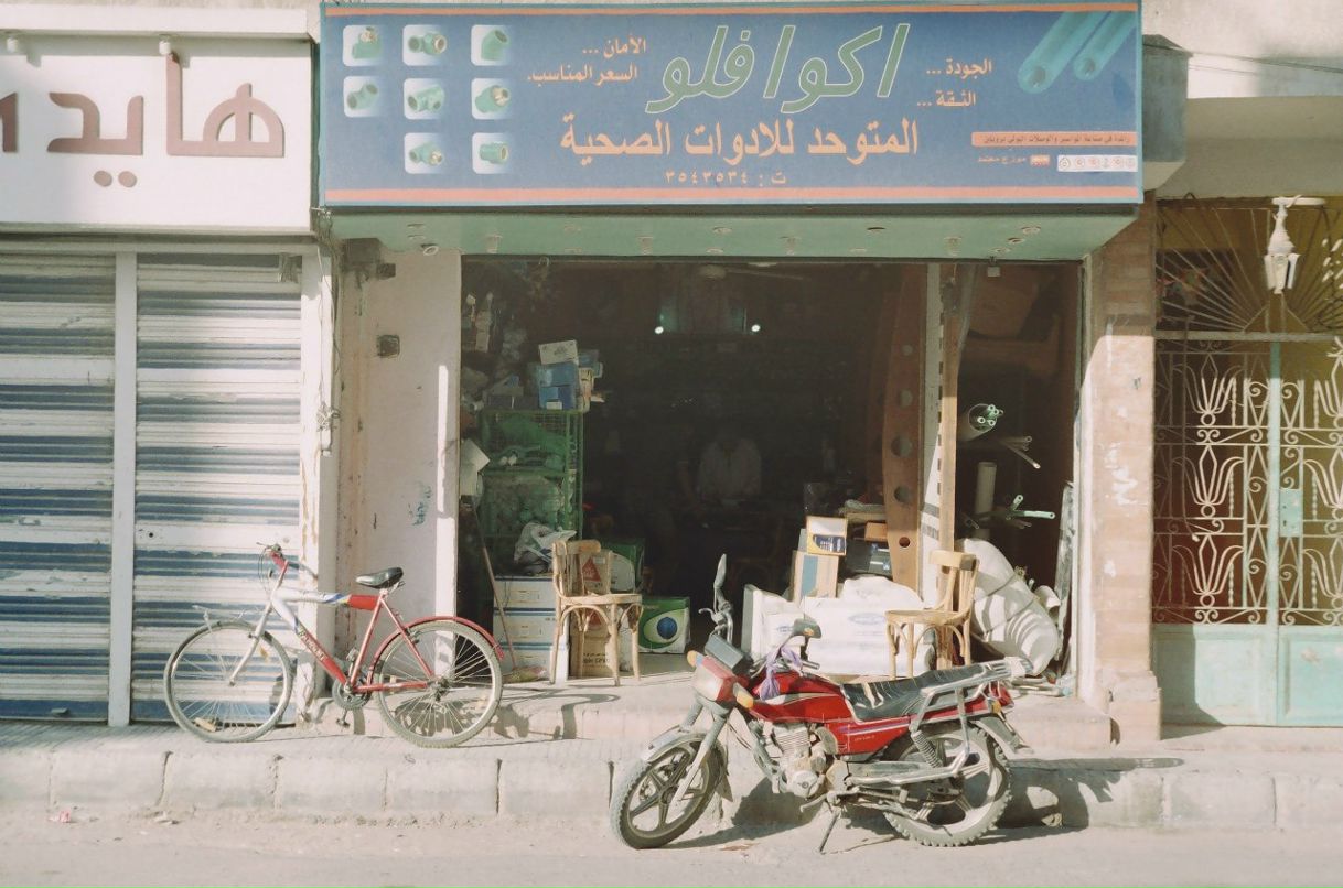 Роман Шеклфорд | 