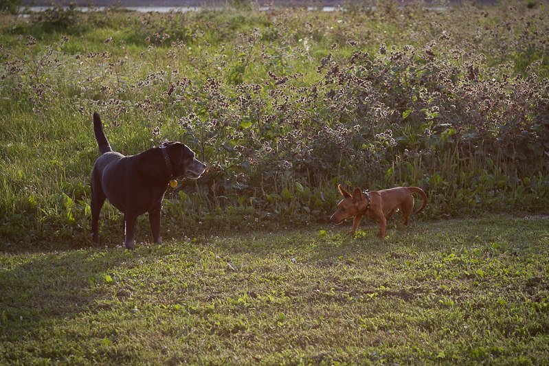 Татьяна Карпенко | Санкт-Петербург