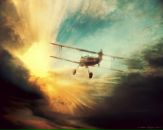 №37 Дима Гук 26.01: профиль, фото, статус - ВКонтакте