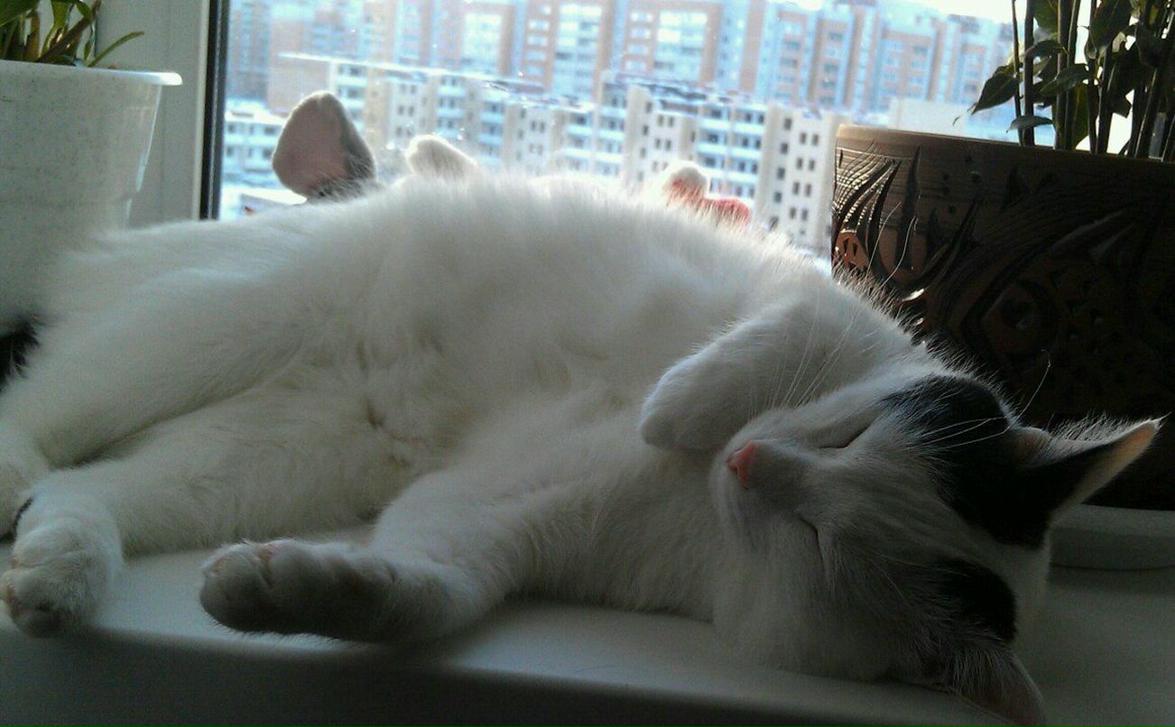 Наденька Егорова | Тюмень