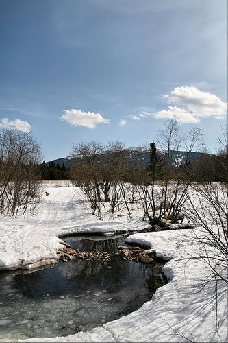 №123, Константин Тарасов, 30.5 №123, Константин Тарасов, 30.5