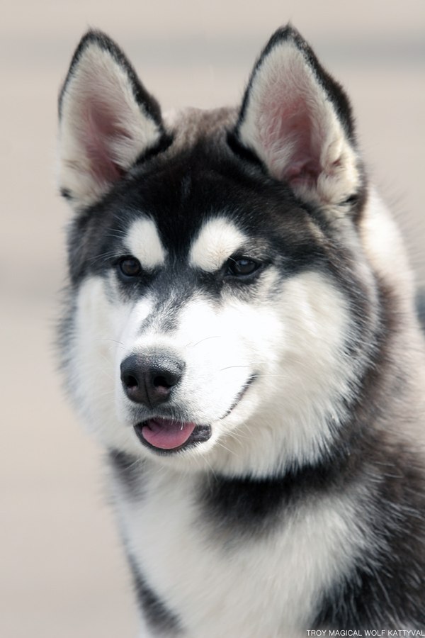 Михаил Александров | Казань