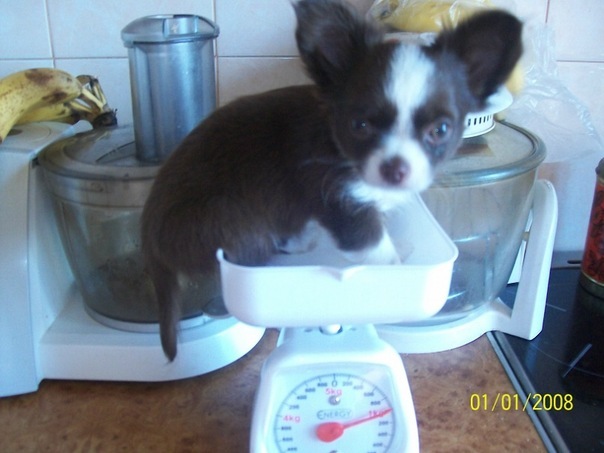 №4, Элювира Александрова, Санкт-Петербург №4, Элювира Александрова, Санкт-Петербург