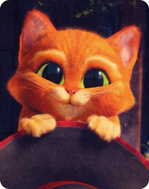 George Pataridze | Батуми