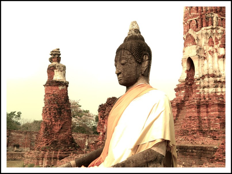 Ксения Федосеева | 