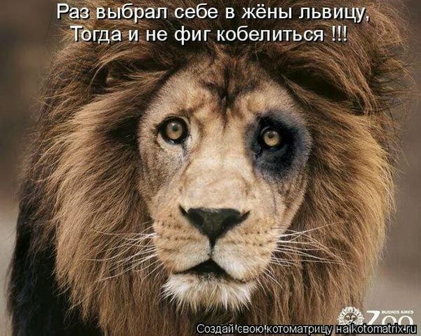 №62, Алексей Мелюхин №62, Алексей Мелюхин
