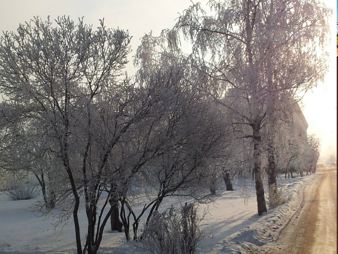 Ольга Солопова | Москва