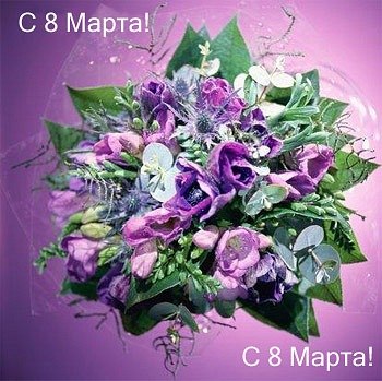 Наталія Кармазин Iгорiвна | Золочев